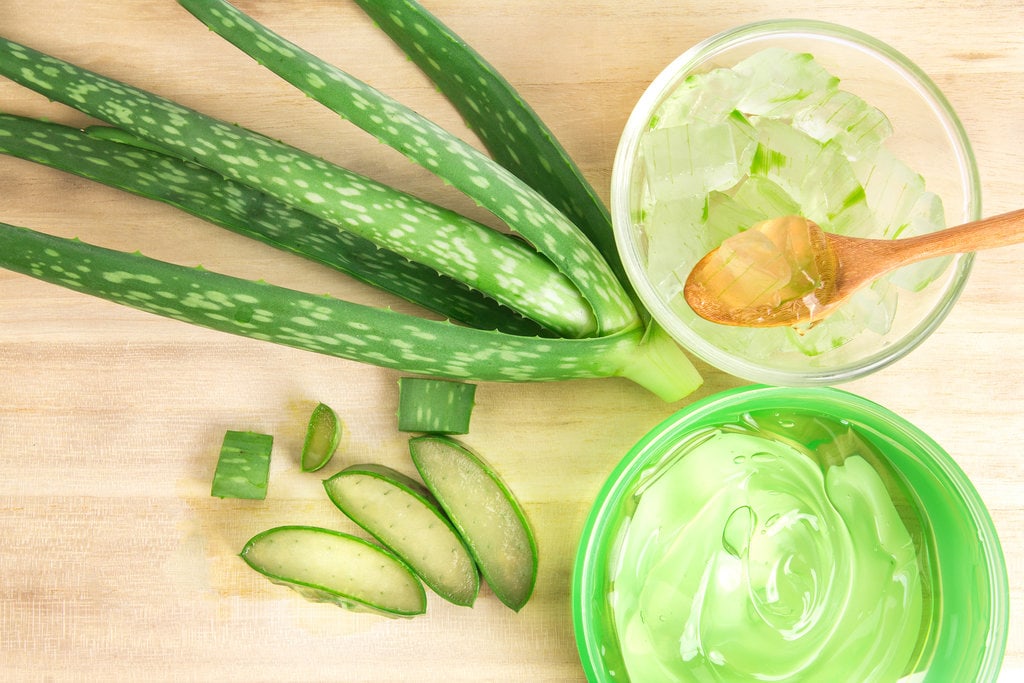 5 Excellent Uses for Aloe in Addition to Treating a Sunburn