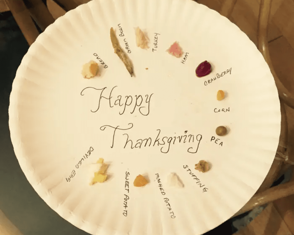 25+ Hilariously Epic Thanksgiving Disasters